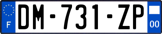 DM-731-ZP