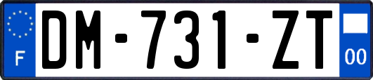 DM-731-ZT