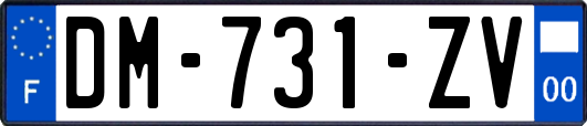 DM-731-ZV