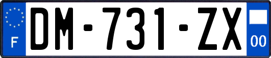 DM-731-ZX