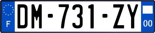 DM-731-ZY