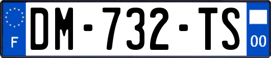 DM-732-TS