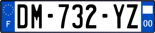 DM-732-YZ