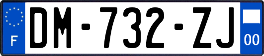 DM-732-ZJ