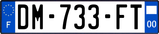 DM-733-FT