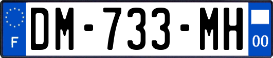 DM-733-MH