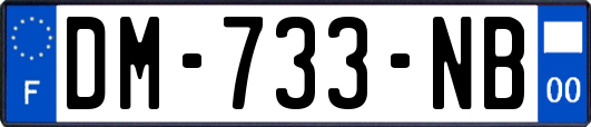DM-733-NB