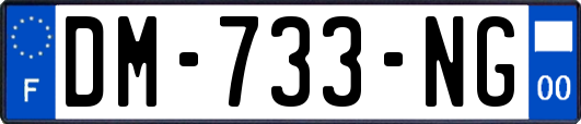 DM-733-NG