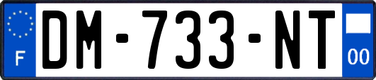 DM-733-NT