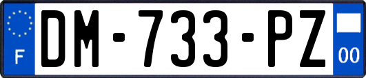 DM-733-PZ