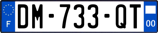 DM-733-QT