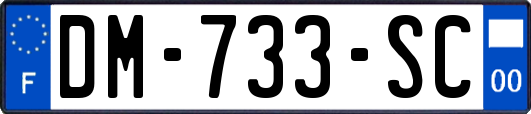 DM-733-SC