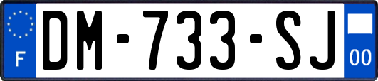 DM-733-SJ