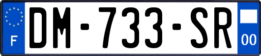 DM-733-SR