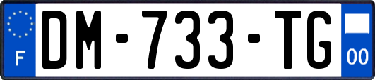 DM-733-TG