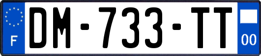 DM-733-TT