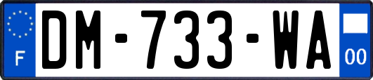 DM-733-WA