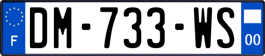 DM-733-WS