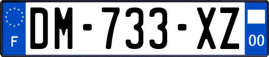 DM-733-XZ