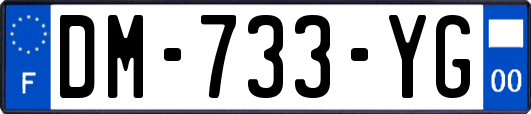 DM-733-YG