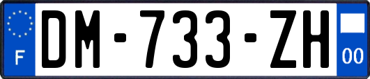 DM-733-ZH