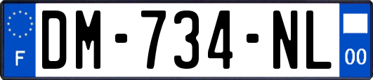 DM-734-NL