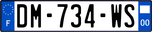 DM-734-WS