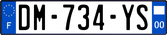 DM-734-YS