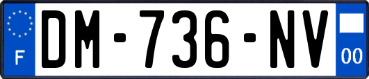 DM-736-NV