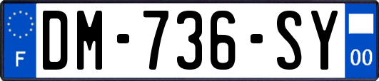 DM-736-SY