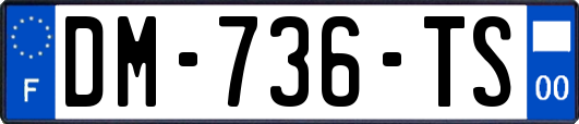 DM-736-TS