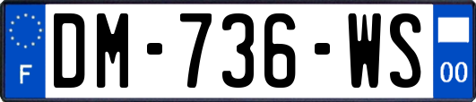 DM-736-WS