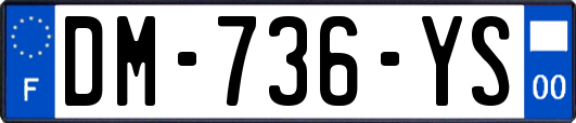 DM-736-YS