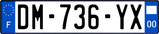 DM-736-YX