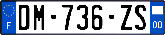 DM-736-ZS