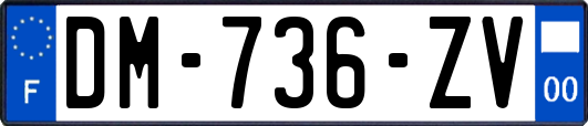 DM-736-ZV