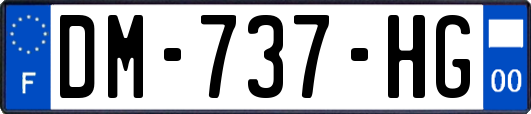 DM-737-HG