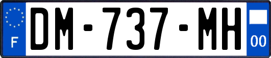 DM-737-MH