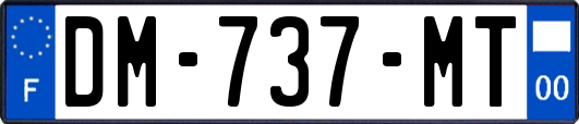 DM-737-MT