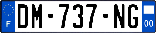 DM-737-NG