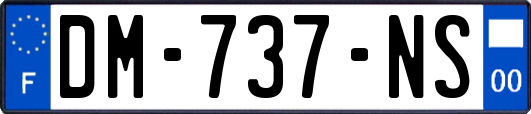 DM-737-NS