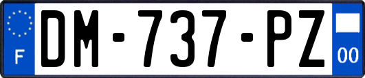 DM-737-PZ