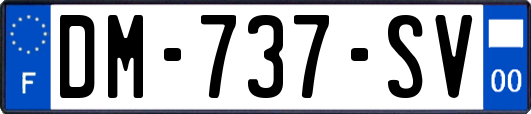DM-737-SV