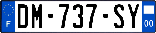 DM-737-SY