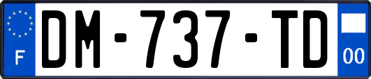 DM-737-TD