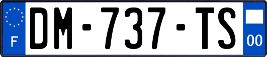 DM-737-TS