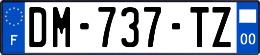 DM-737-TZ