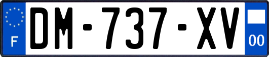 DM-737-XV