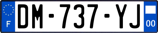 DM-737-YJ