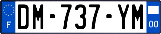 DM-737-YM